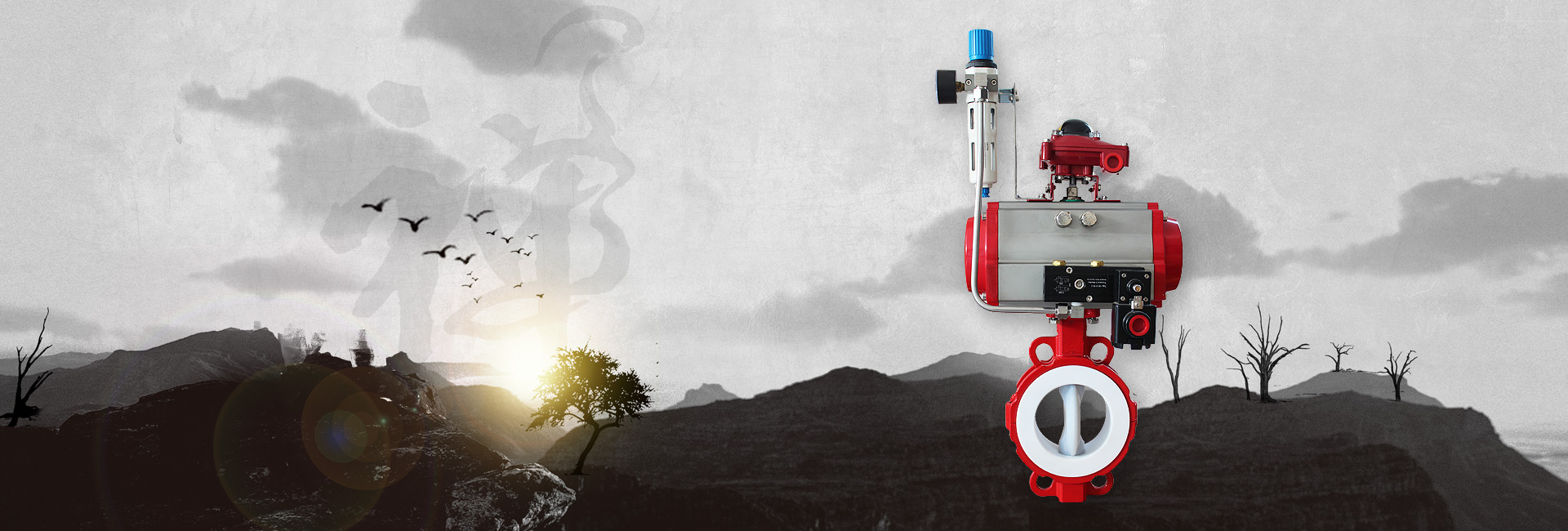 專(zhuān)業(yè)的閥門(mén)解決方案